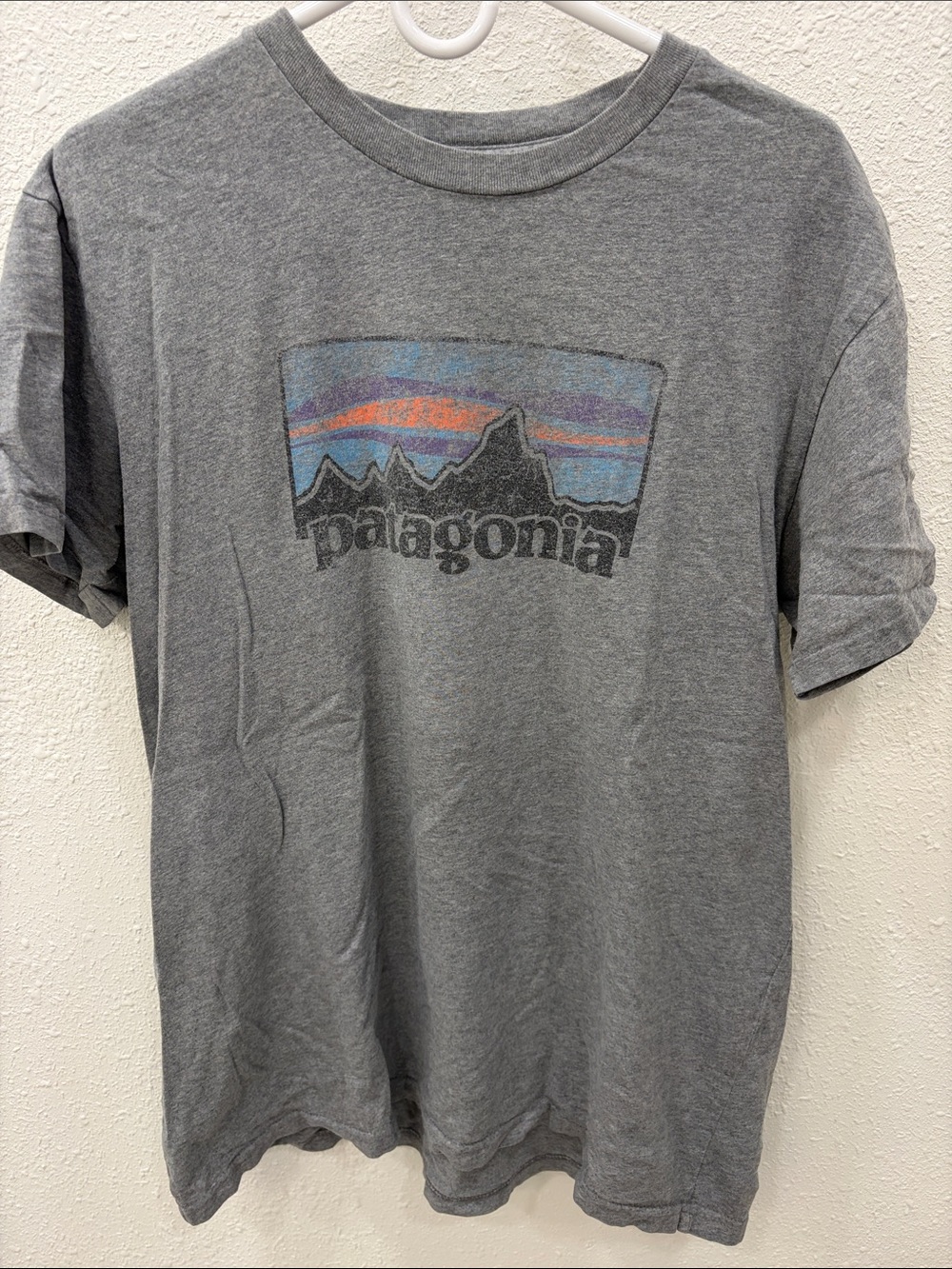 Patagonia Gray Short-Sleeve Tee with Multicolor Mountain Logo